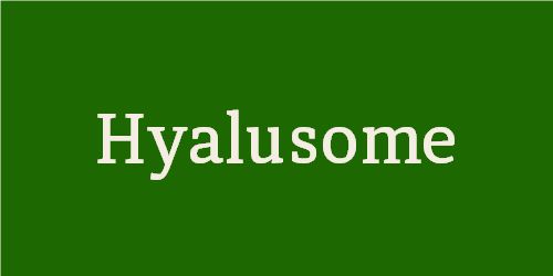 Hyalusome